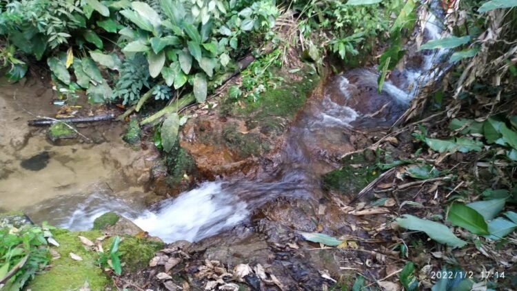 Corpo de jovem é encontrado próximo de cachoeira no Lorena, em Guabiruba