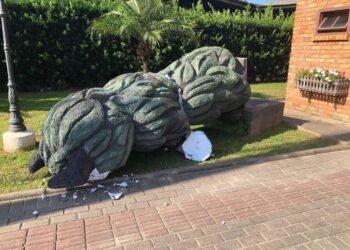 Escultura do Pelznickel sofre ato de vandalismo