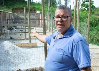 Moradores de Guabiruba lançam campanha de arrecadação para auxiliar aposentado que dedica a vida aos cães