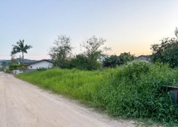 Moradores denunciam abandono de terrenos na rua Felipe Wippel, no Centro de Guabiruba