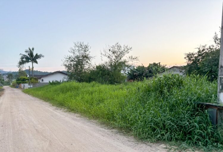 Moradores denunciam abandono de terrenos na rua Felipe Wippel, no Centro de Guabiruba