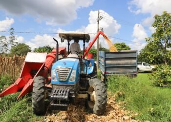 Colheita do milho em Guabiruba apresenta média de 140 sacos por hectare