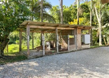 Futuro incerto: Pata Guabiruba pode encerrar atividades