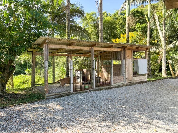 Futuro incerto: Pata Guabiruba pode encerrar atividades