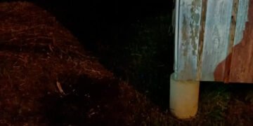 Homem ateia fogo na casa da ex-companheira no bairro São Pedro