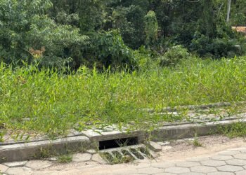 Vereadores cobram providências sobre limpeza de bocas de lobo e manutenção de terrenos