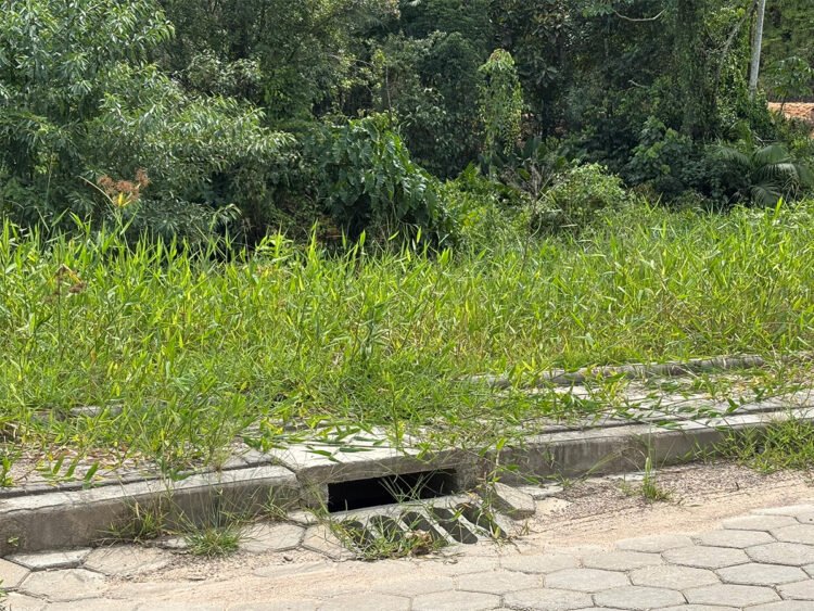 Vereadores cobram providências sobre limpeza de bocas de lobo e manutenção de terrenos