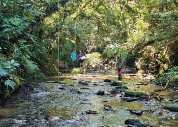 Essa trilha tem história: livro revela as relíquias históricas escondidas na natureza de Guabiruba