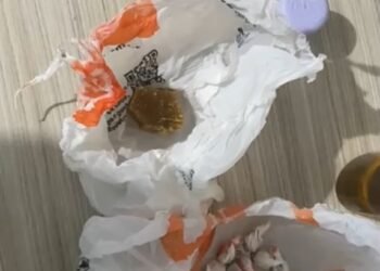 Polícia Civil prende homem e apreende entorpecentes no Centro de Brusque