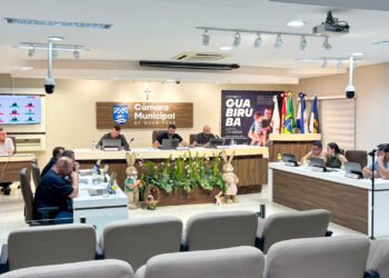 Pedido de informações sobre o Parque Municipal gera polêmica na Câmara de Guabiruba