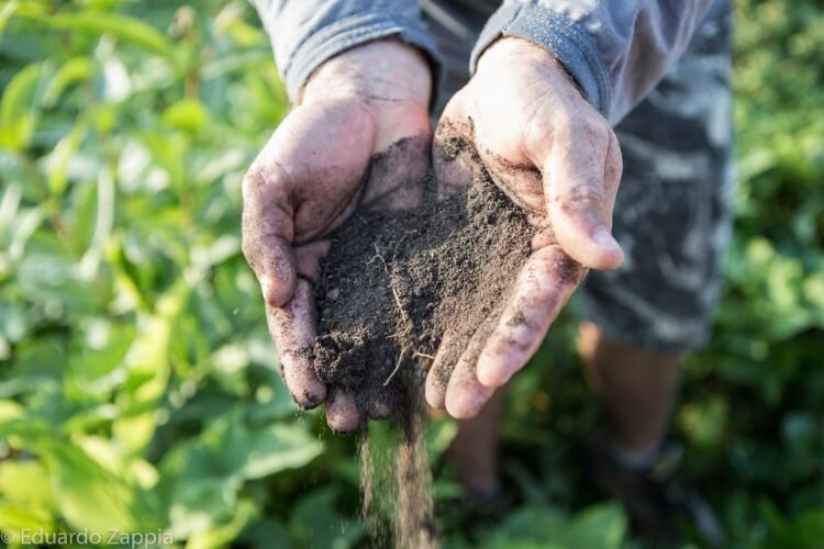 Ouro no Ranking, chumbo no bolso